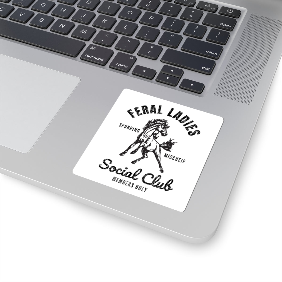 Feral Ladies Social Club Sticker
